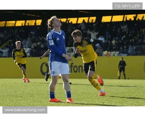 [德甲]第25轮：多特蒙德VS奥格斯堡.